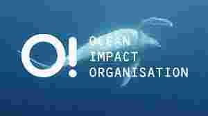 Ocean Impact Organisation